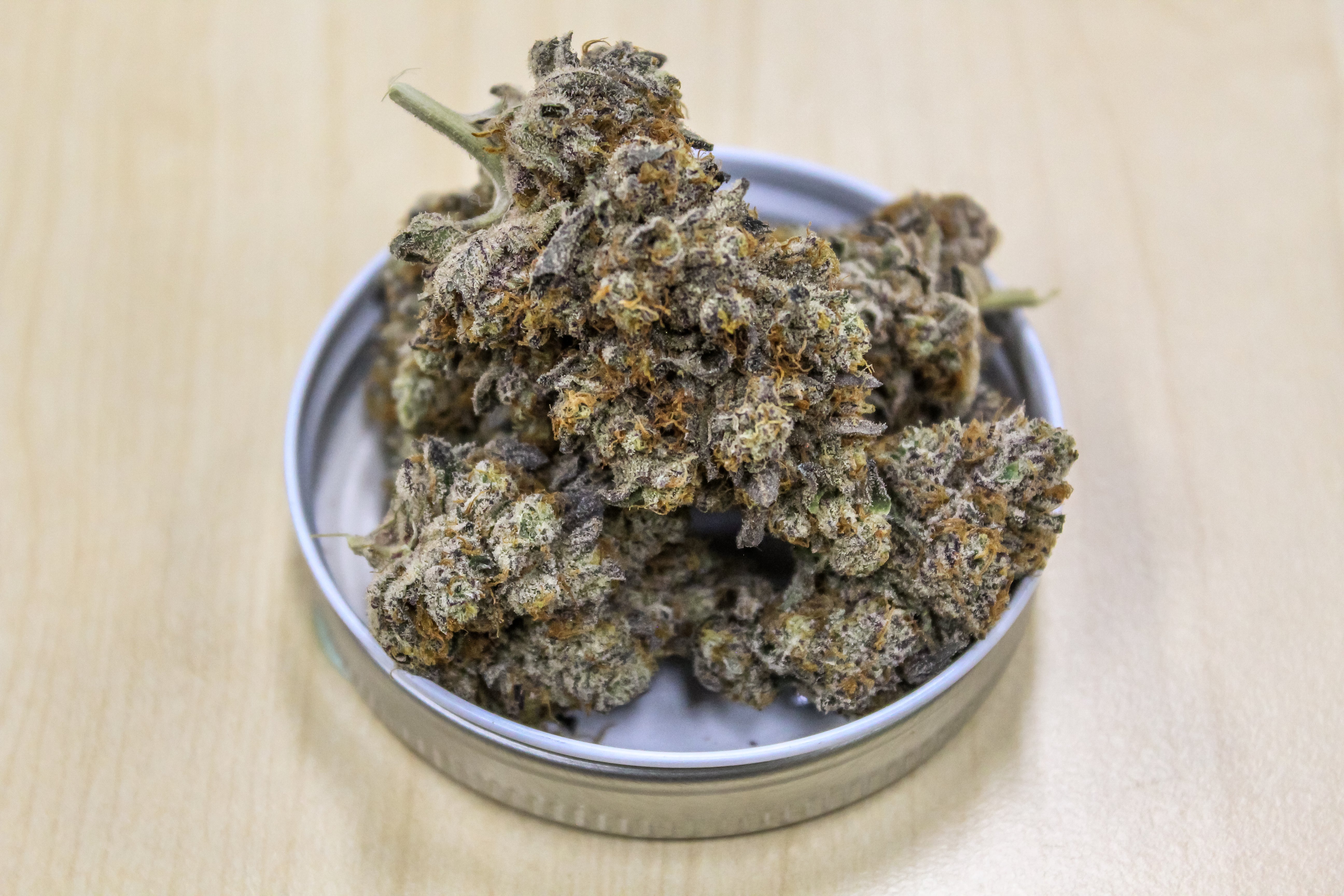 Collections – Surfrseeds
