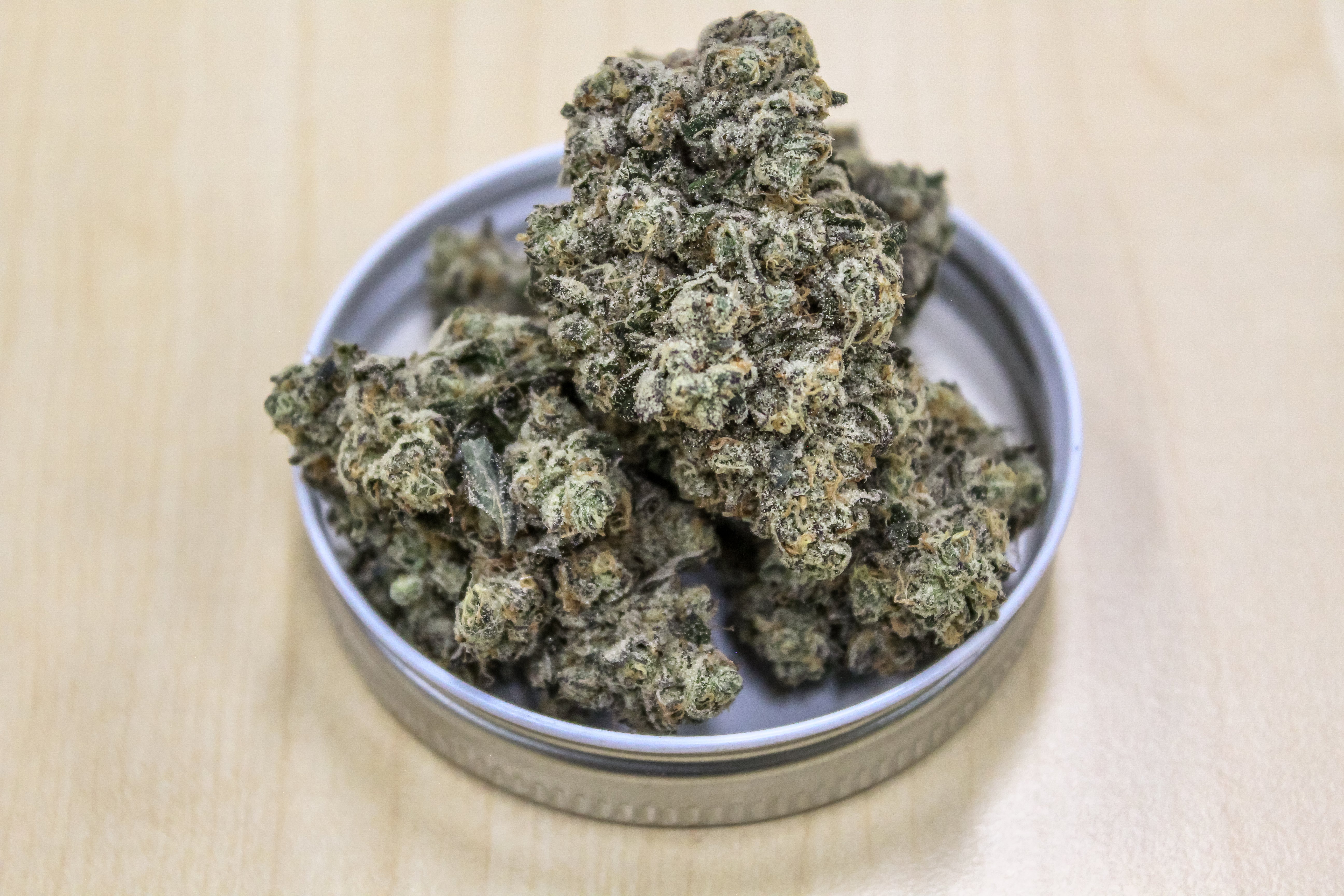 Bananna Runt Banana Skies – Surfrseeds